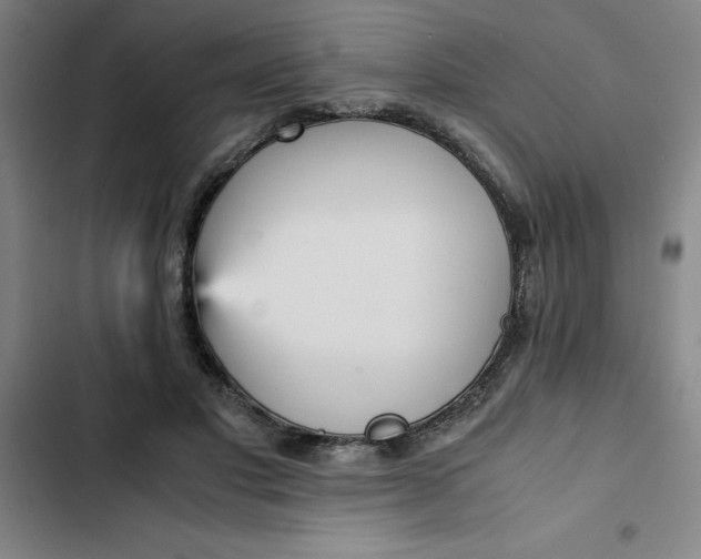 X0000102470501200808221646