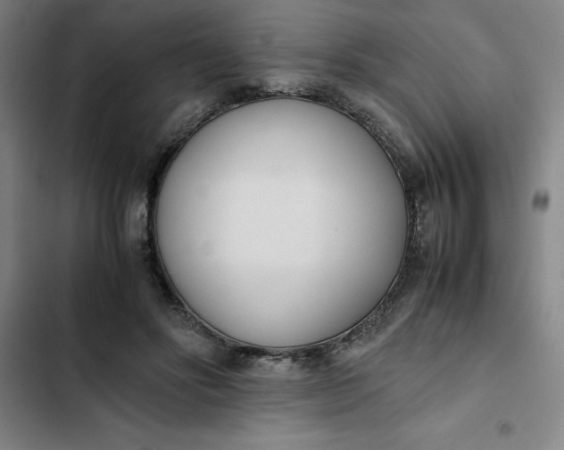 X0000102470502200808221646