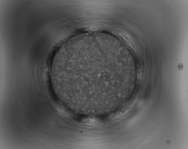 X0000102470503200808221646