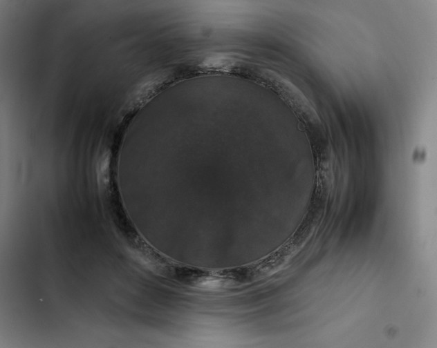 X0000102470504200808221646