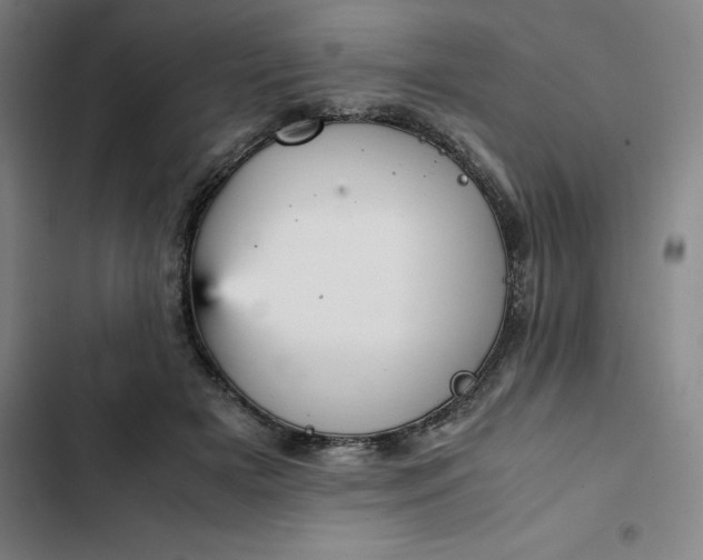 X0000102470505200808221646