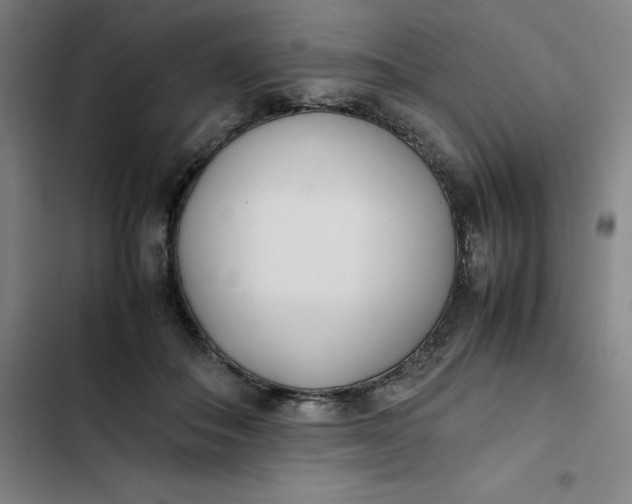 X0000102470506200808221646