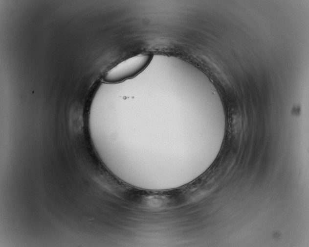 X0000102470508200808221646