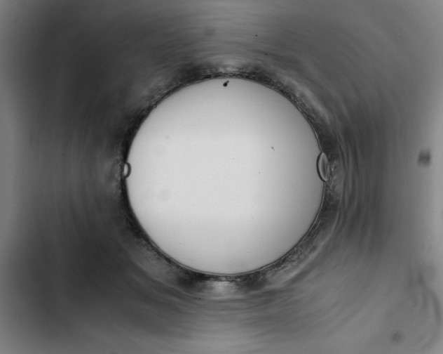 X0000102470509200808221646