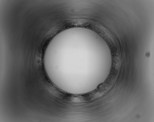 X0000102470510200808221646