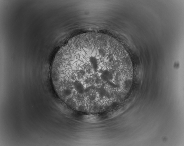 X0000102470511200808221646