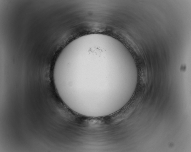 X0000102470512200808221646