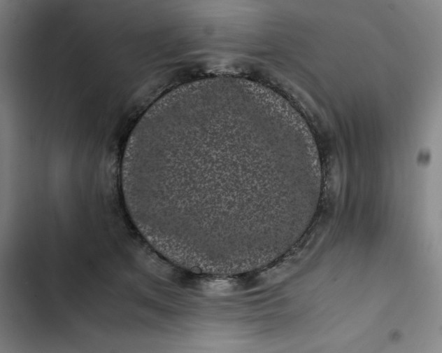 X0000102470513200808221646
