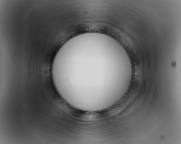X0000102470514200808221646