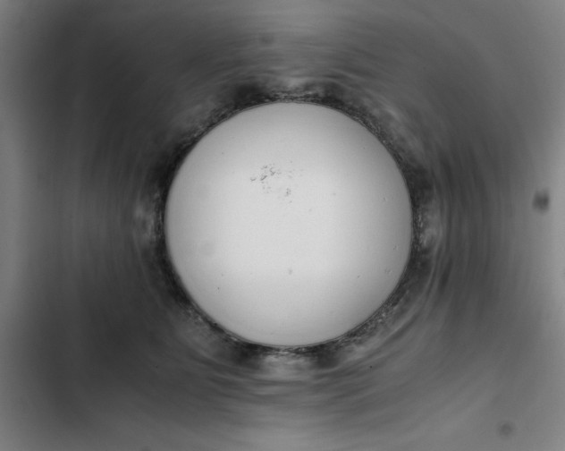 X0000102470515200808221646