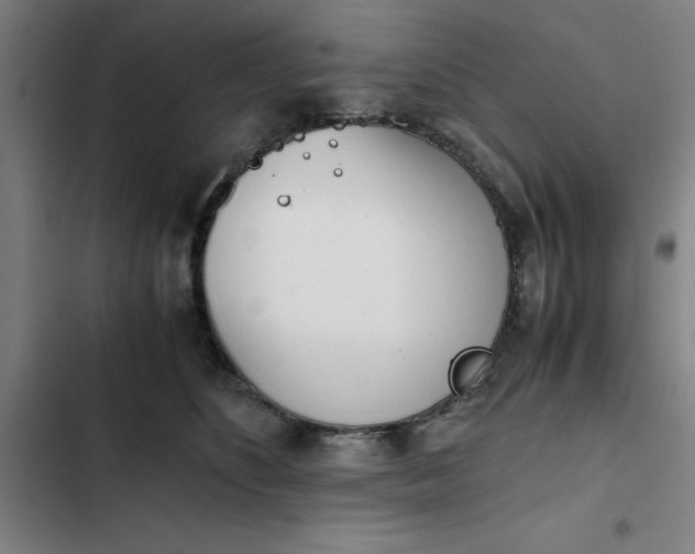 X0000102470516200808221646