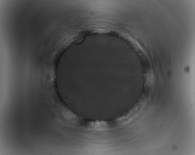 X0000102470517200808221646