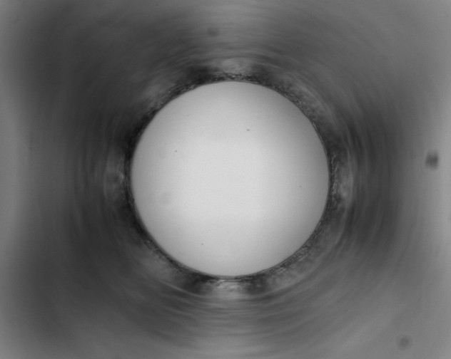 X0000102470518200808221646