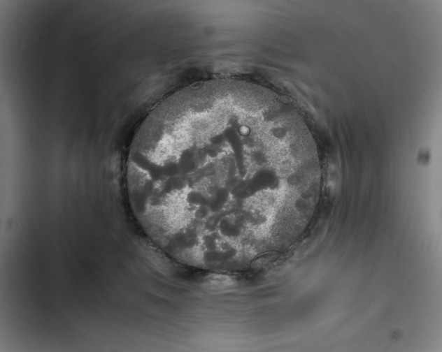 X0000102470519200808221646