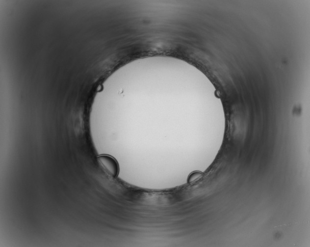 X0000102470520200808221646