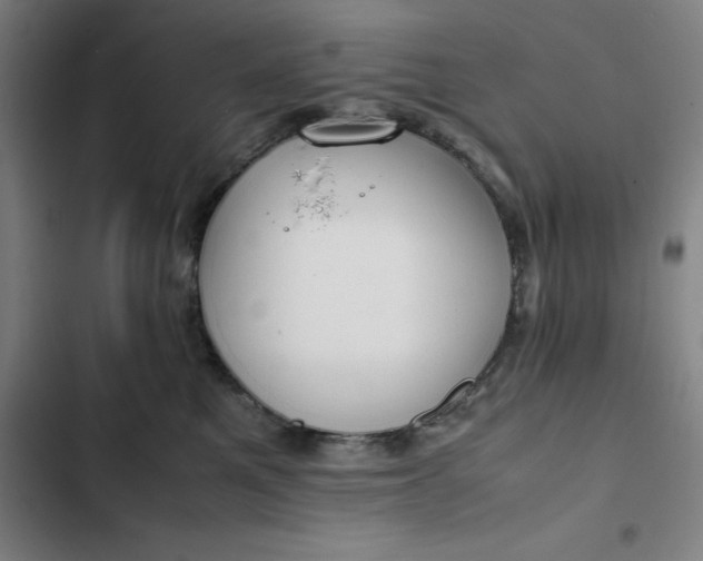 X0000102470521200808221646