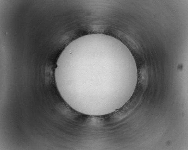 X0000102470522200808221646