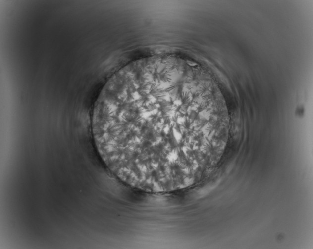 X0000102470523200808221646