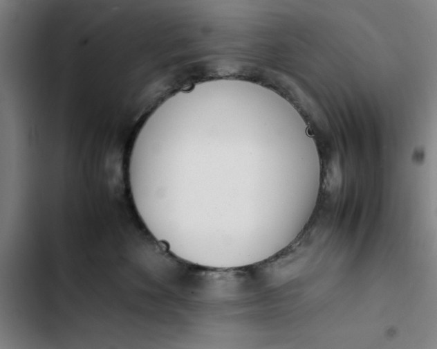 X0000102470524200808221646
