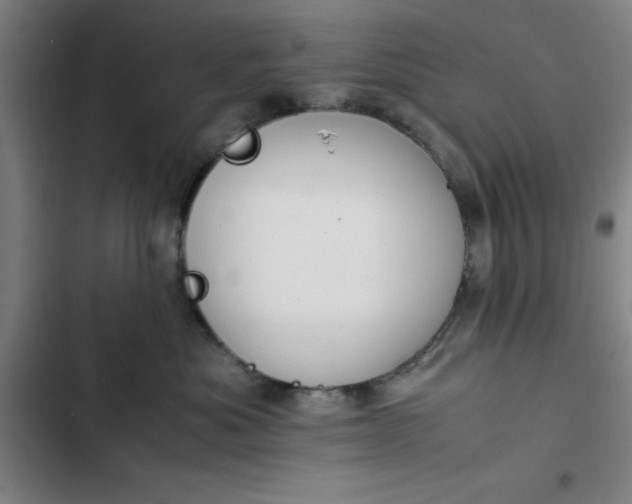 X0000102470525200808221646