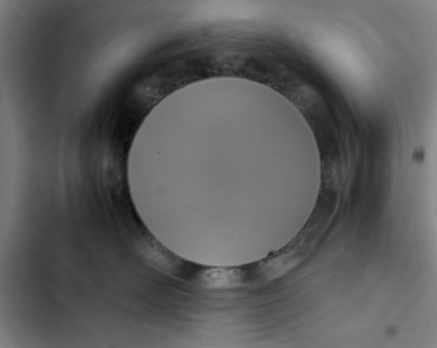 X0000102470526200808221646