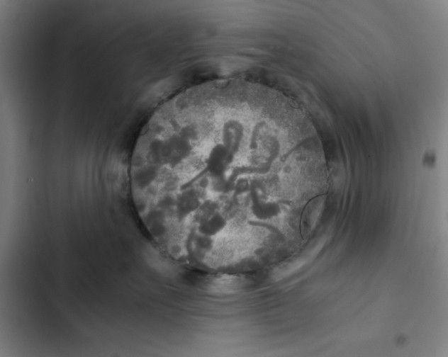 X0000102470527200808221646