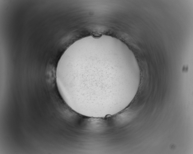 X0000102470528200808221646