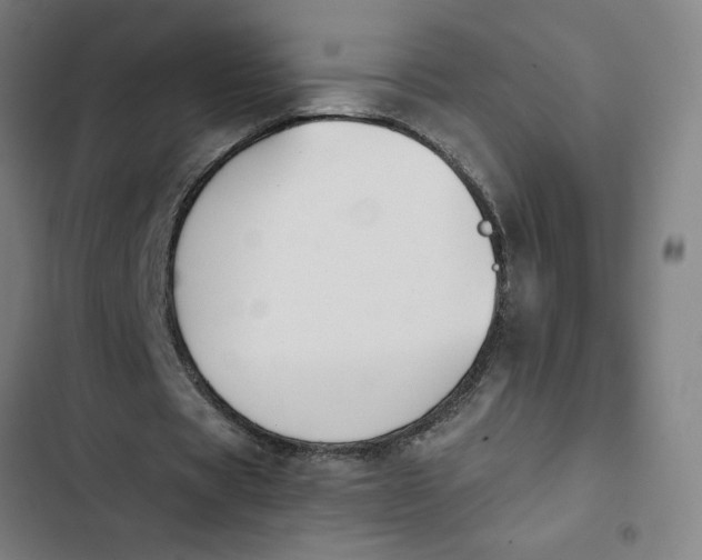 X0000102470529200808221645