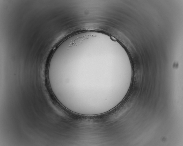 X0000102470530200808221645