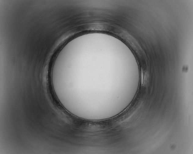 X0000102470531200808221645