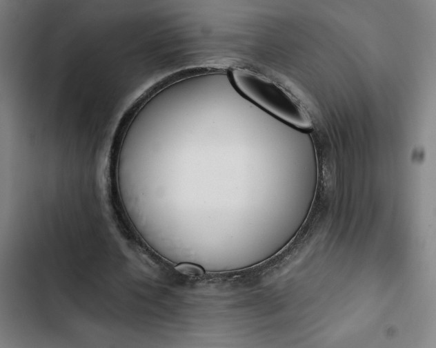 X0000102470532200808221645