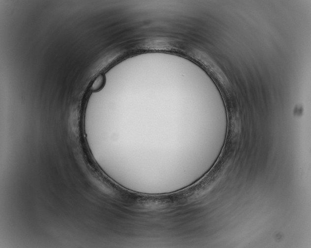 X0000102470533200808221645