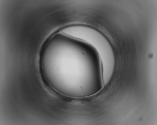 X0000102470534200808221645