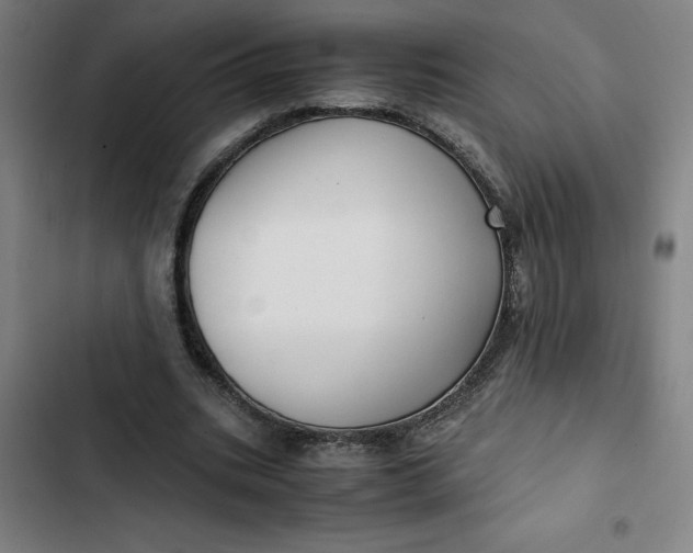 X0000102470535200808221645