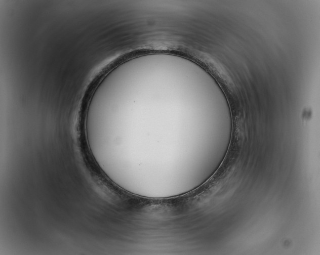 X0000102470536200808221645