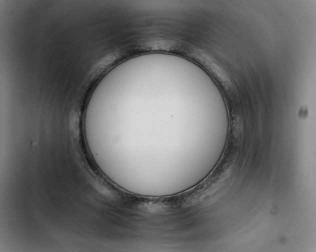X0000102470537200808221645
