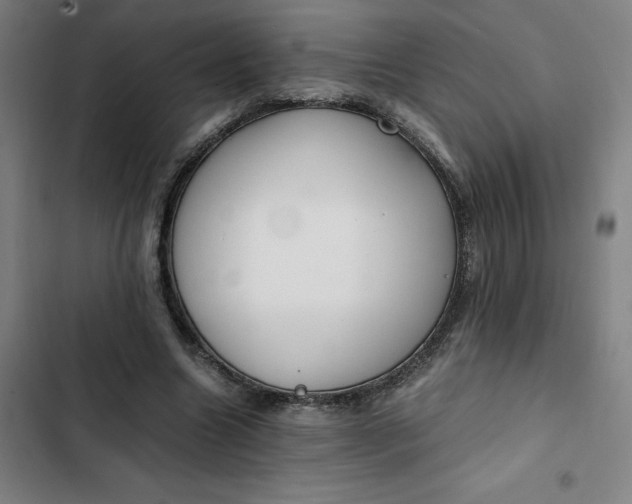 X0000102470538200808221645