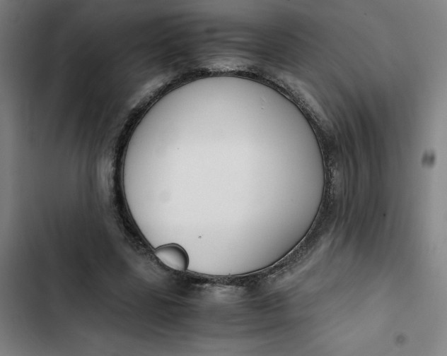 X0000102470539200808221645