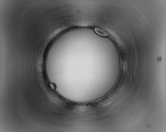 X0000102470540200808221645