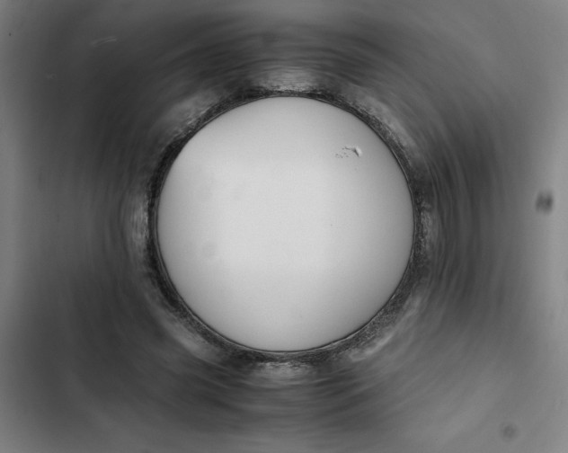 X0000102470541200808221645