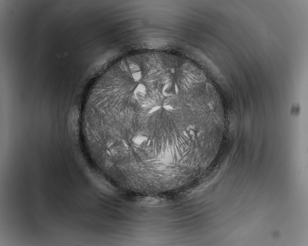 X0000102470542200808221645