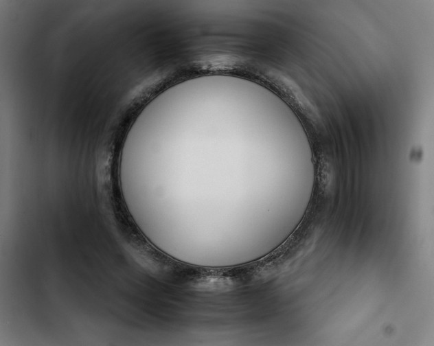 X0000102470543200808221645
