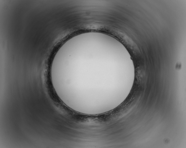 X0000102470544200808221645