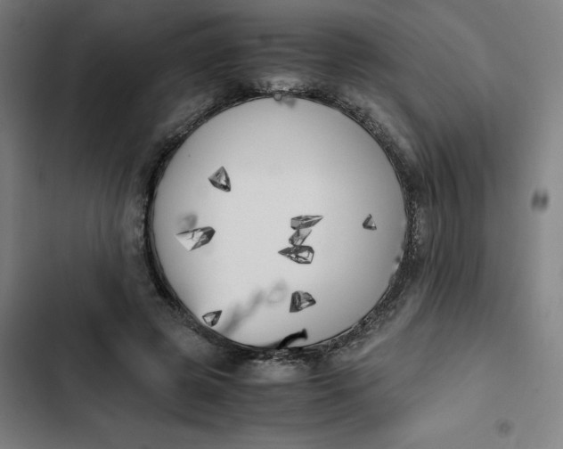 X0000102470545200808221645