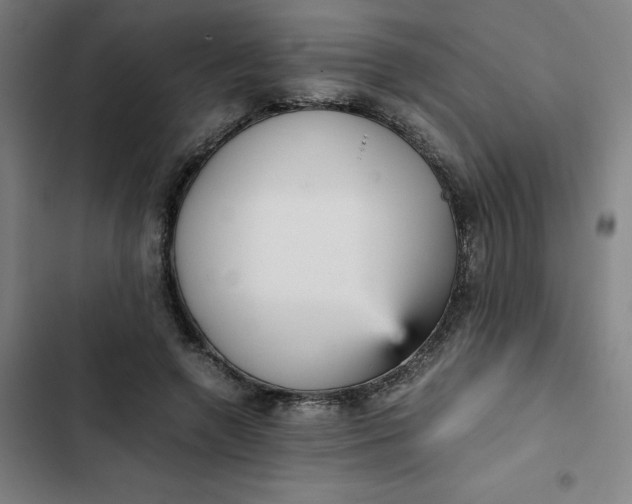 X0000102470546200808221645