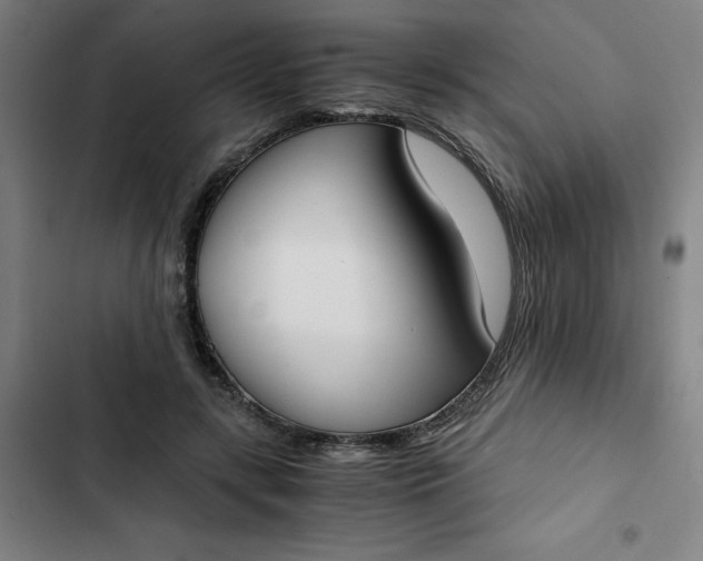 X0000102470547200808221645