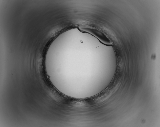 X0000102470548200808221645