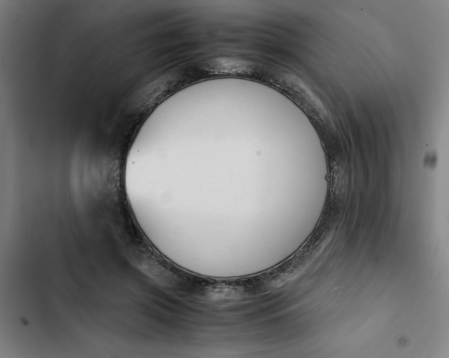 X0000102470549200808221645
