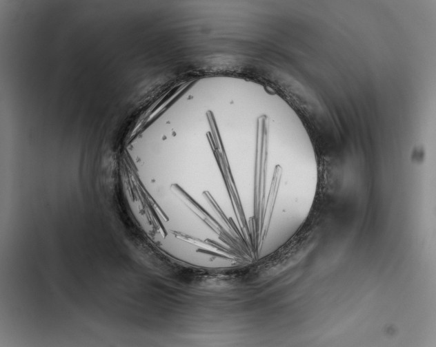 X0000102470550200808221645