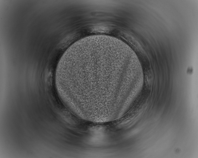 X0000102470551200808221645
